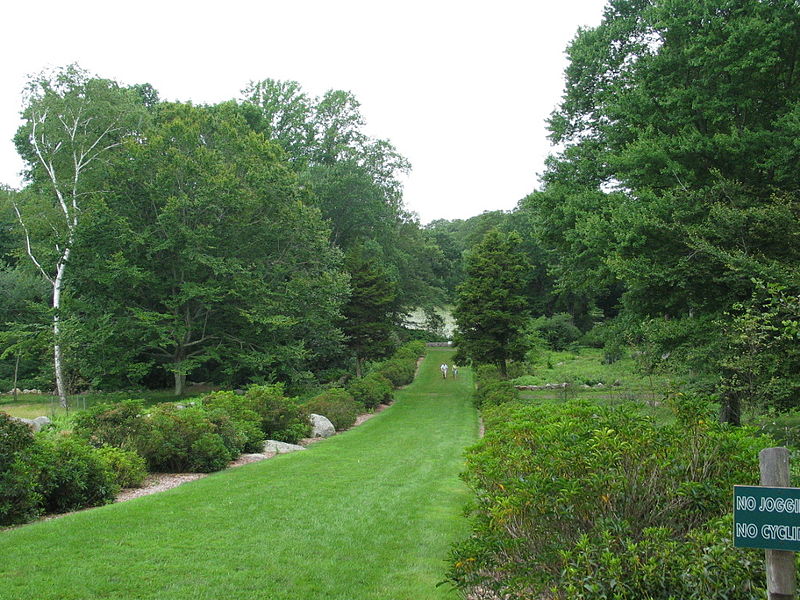 Arboreto del Connecticut College
