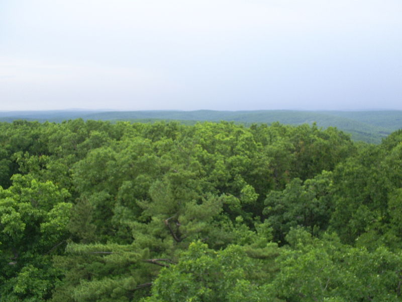 Taum Sauk Mountain