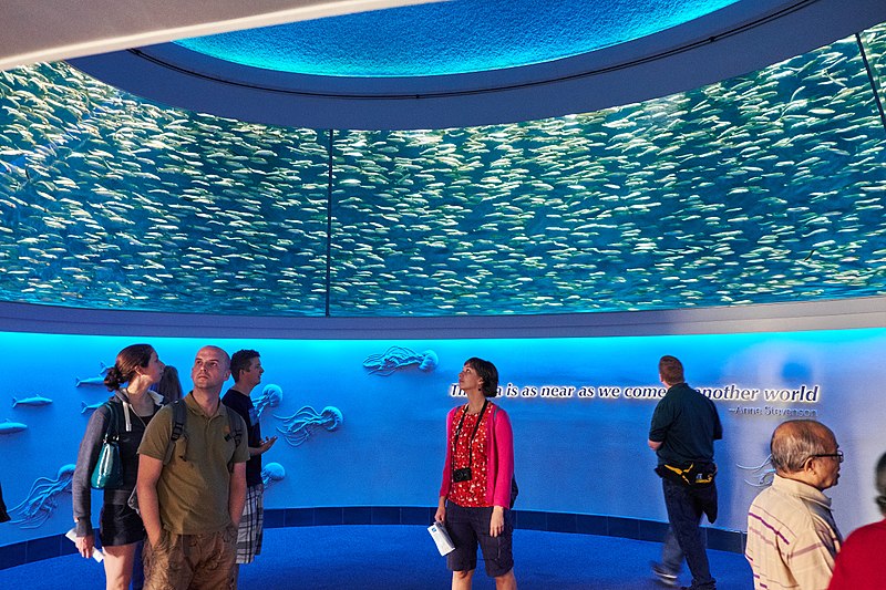 Aquarium de la baie de Monterey