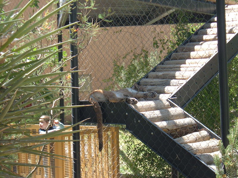 Parque zoológico de Alameda