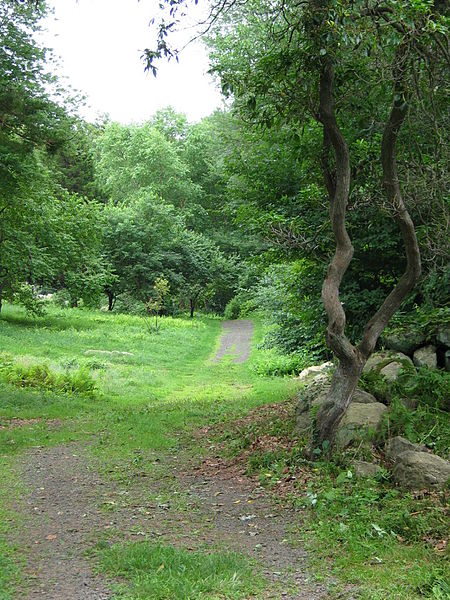 Arboreto del Connecticut College