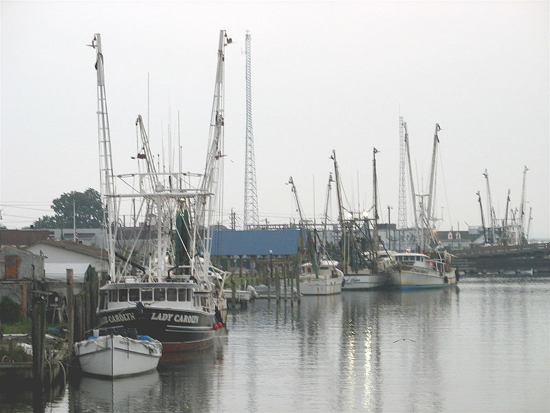 Chincoteague