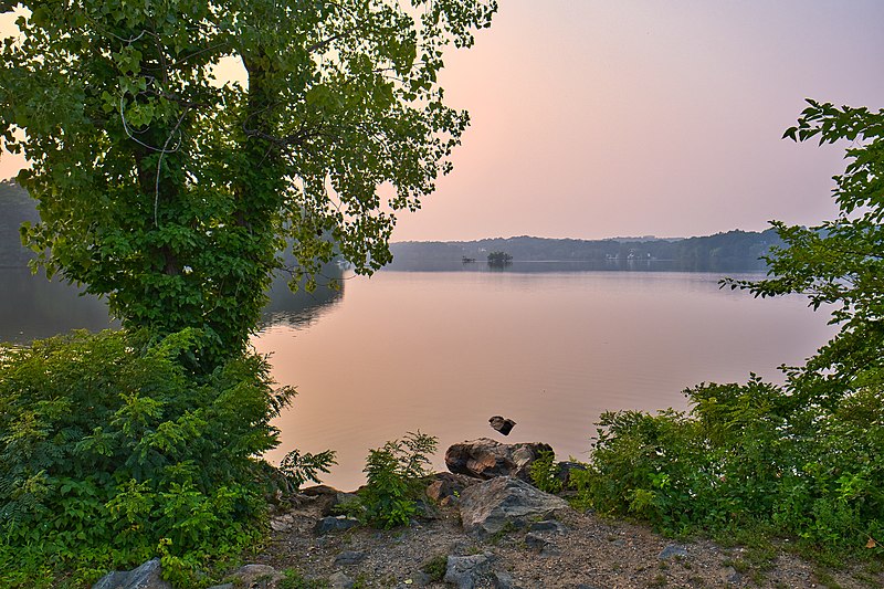 Horn Pond