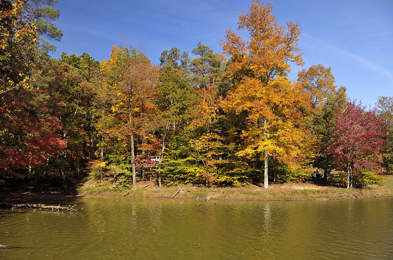 Park Stanowy Brown County