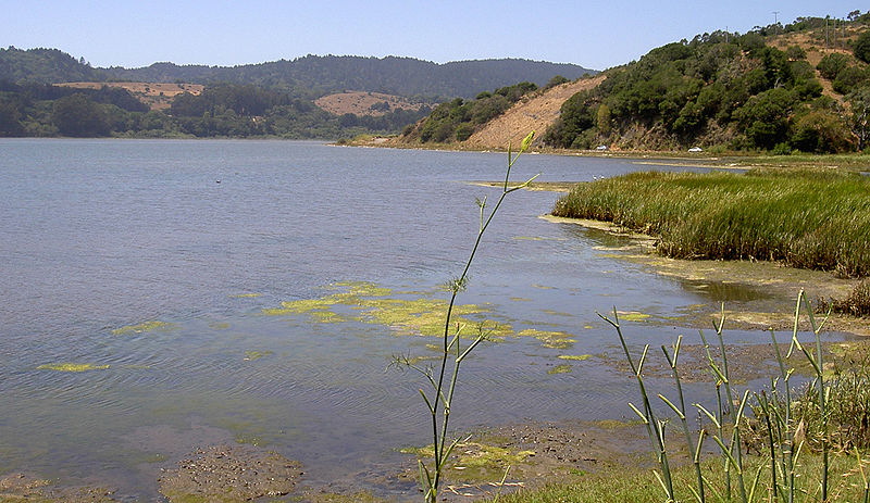 Bolinas Lagoon