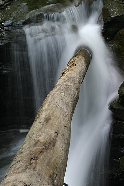 Park Stanowy Buttermilk Falls