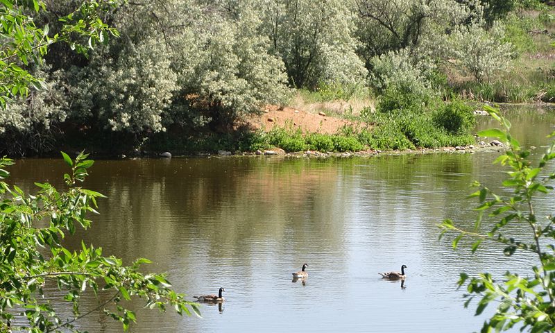 Fountain Creek Regional Park and Nature Center