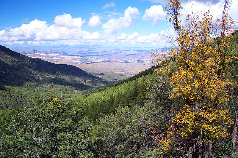 Pinal Mountains