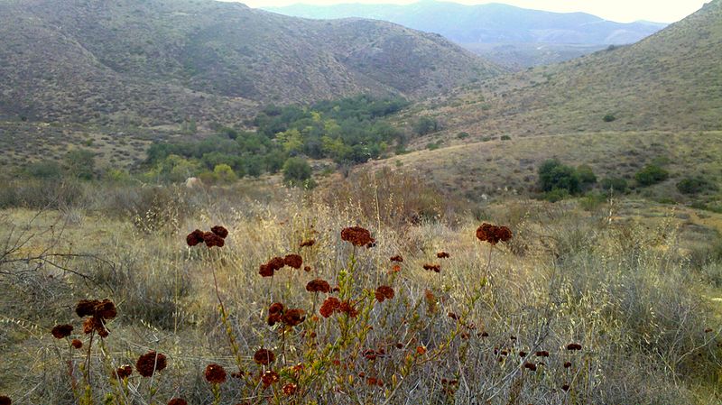 Hollenbeck Canyon Wildlife Area