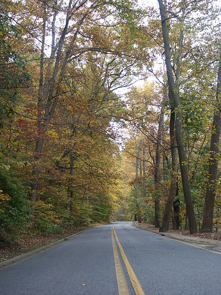 Rock Creek Park