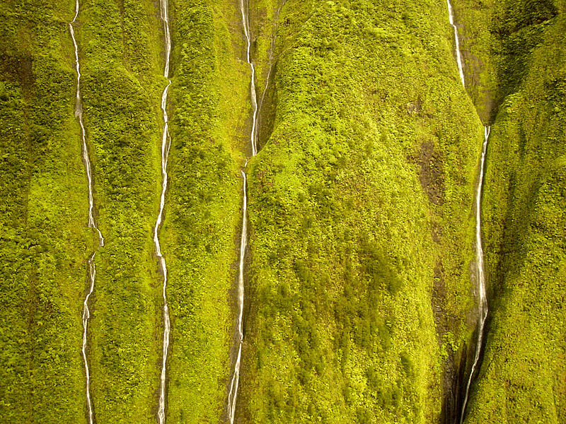 Waiʻaleʻale