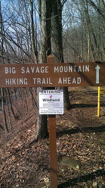 Savage River State Forest