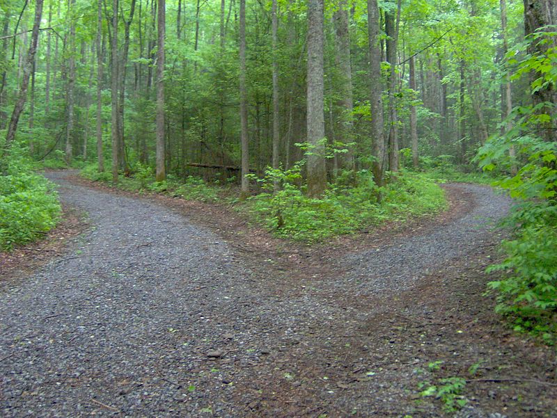 Snake Den Ridge Trail