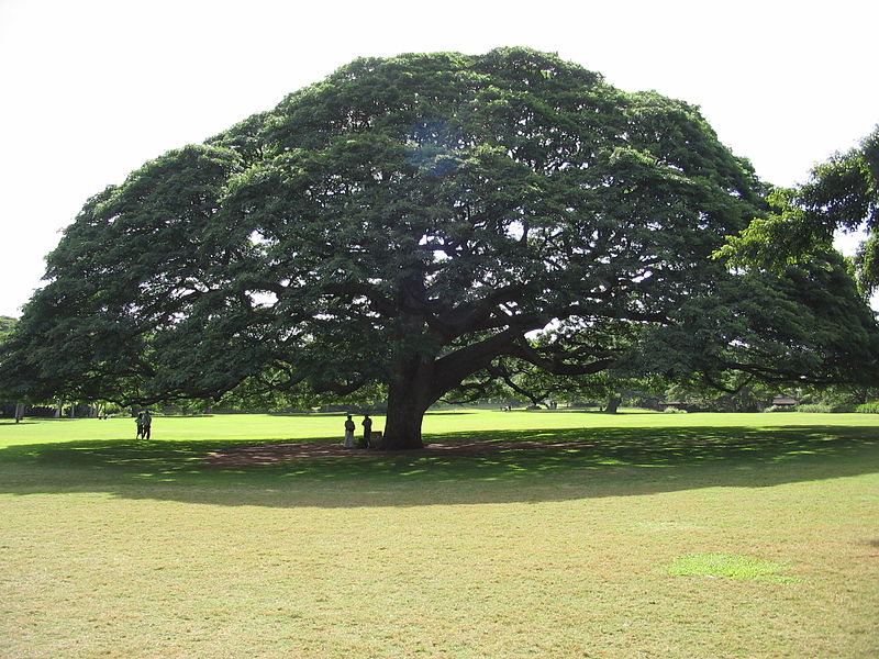 Moanalua Gardens