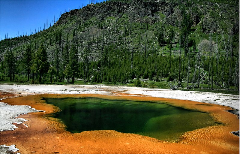 Emerald Spring