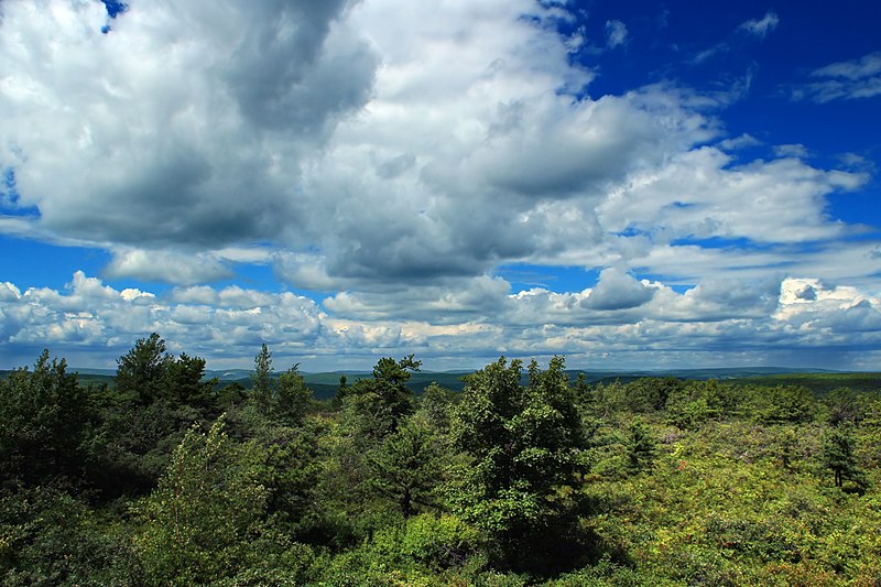 Pinchot State Forest