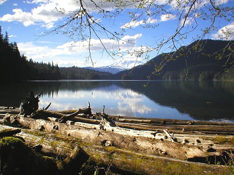 Packwood Lake