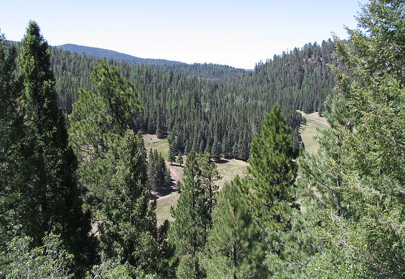 Valles Caldera National Preserve