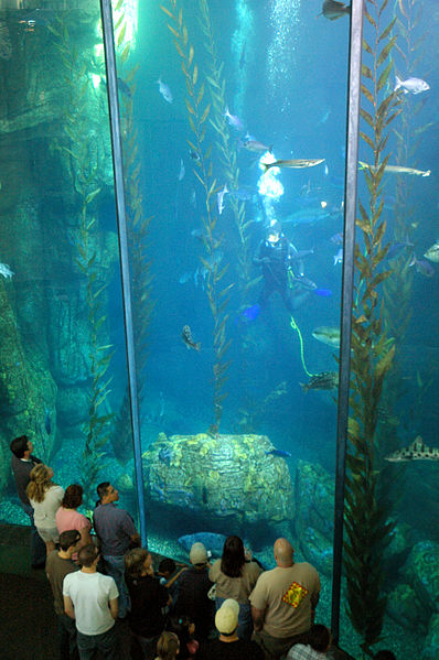 Aquarium du Pacifique