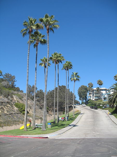 Tourmaline Surfing Park