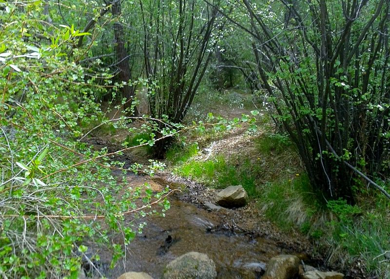 Bear Creek Cañon Park