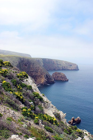 Park Narodowy Channel Islands