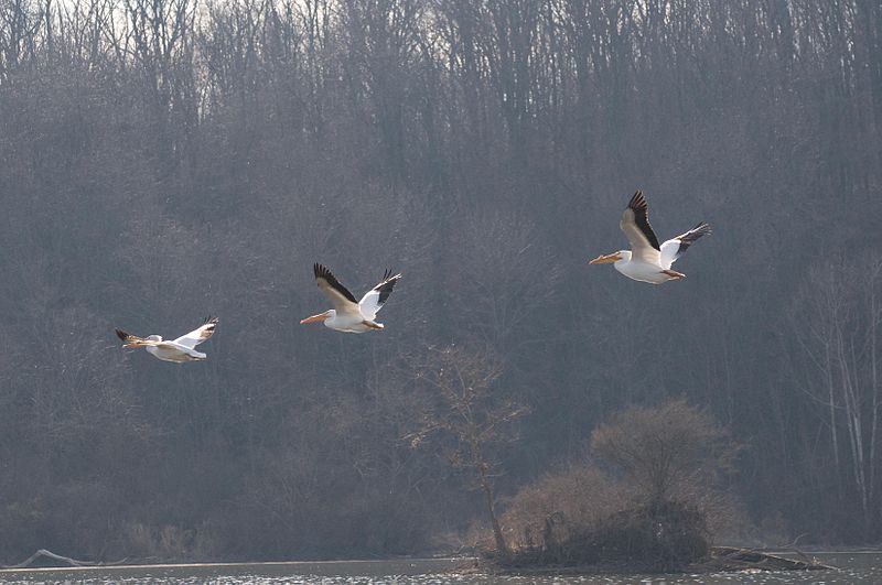 Eagle Creek Park