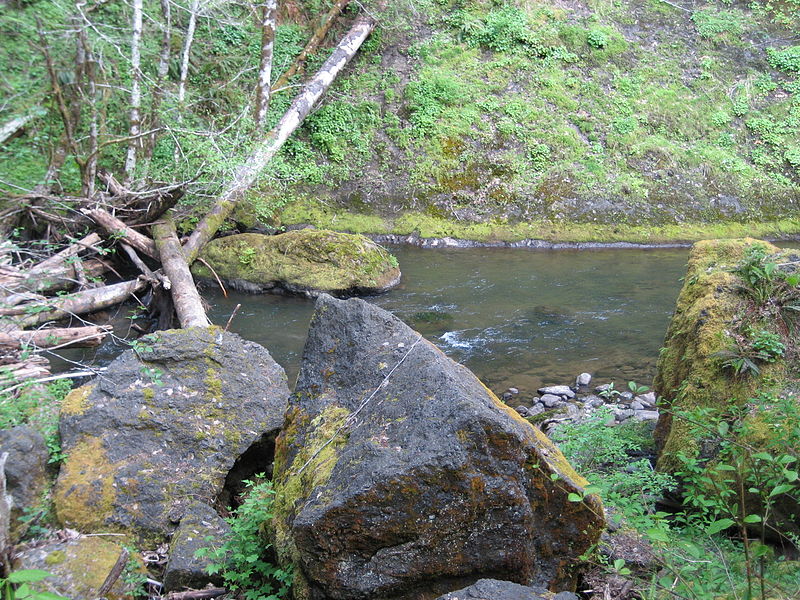 Chaîne côtière de l'Oregon