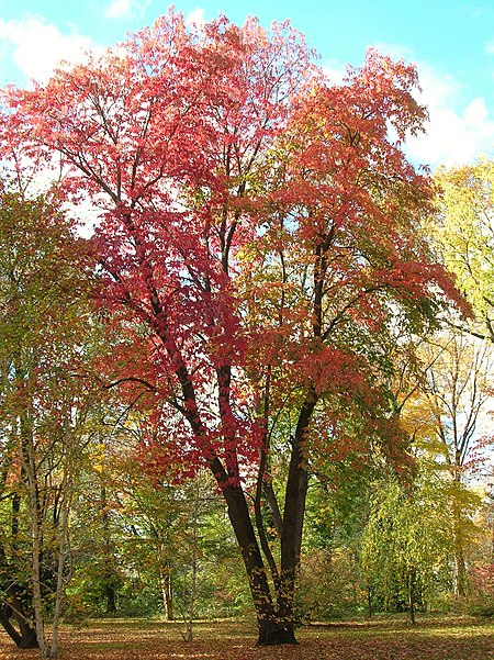Connecticut's Elizabeth Park