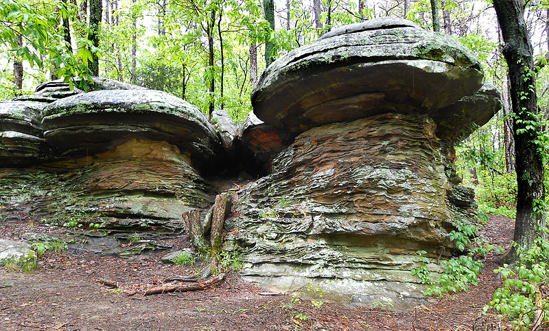 Forêt nationale de Shawnee