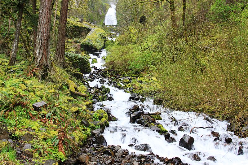 Wahkeena Falls