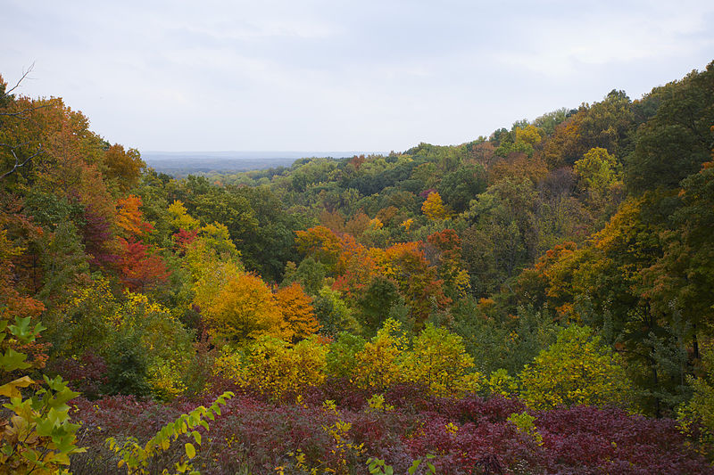 Park Stanowy Brown County