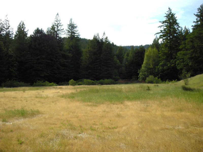 Park Stanowy Humboldt Redwoods