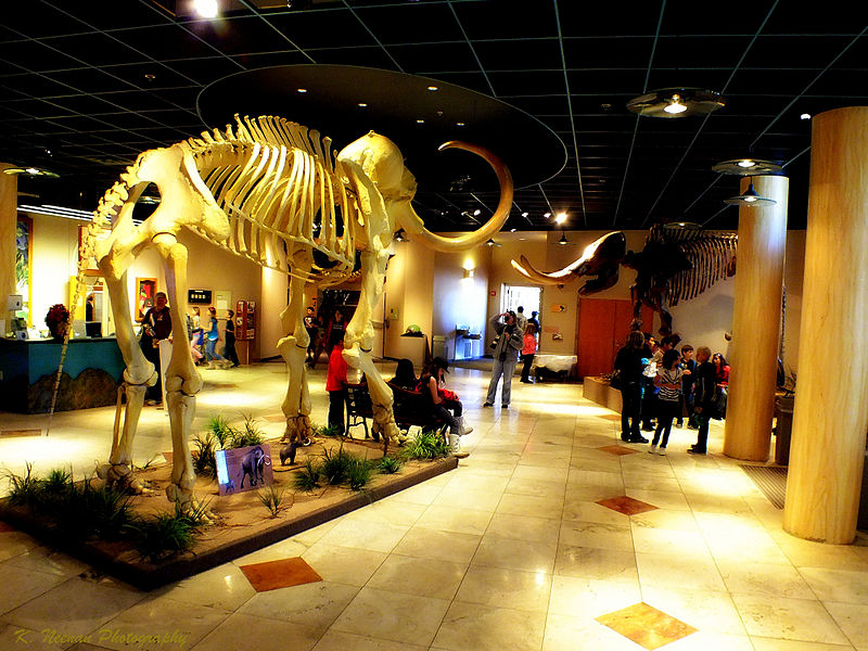 Museo de Historia Natural de Arizona
