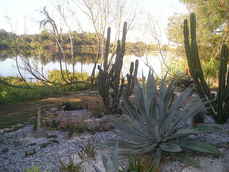 Jardín botánico de la Universidad del Sur de Florida