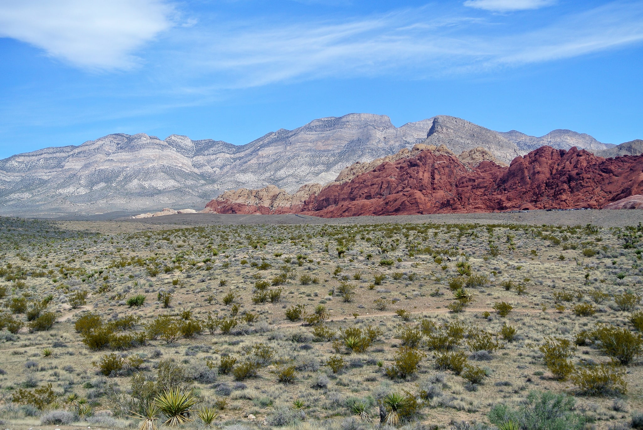 Área de conservación nacional Red Rock Canyon, Estados Unidos