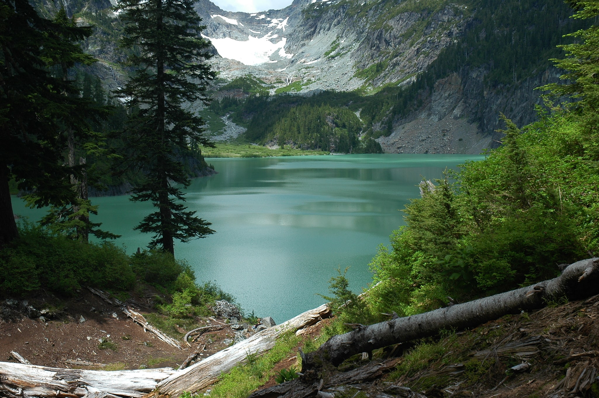 Henry M. Jackson Wilderness, Stany Zjednoczone