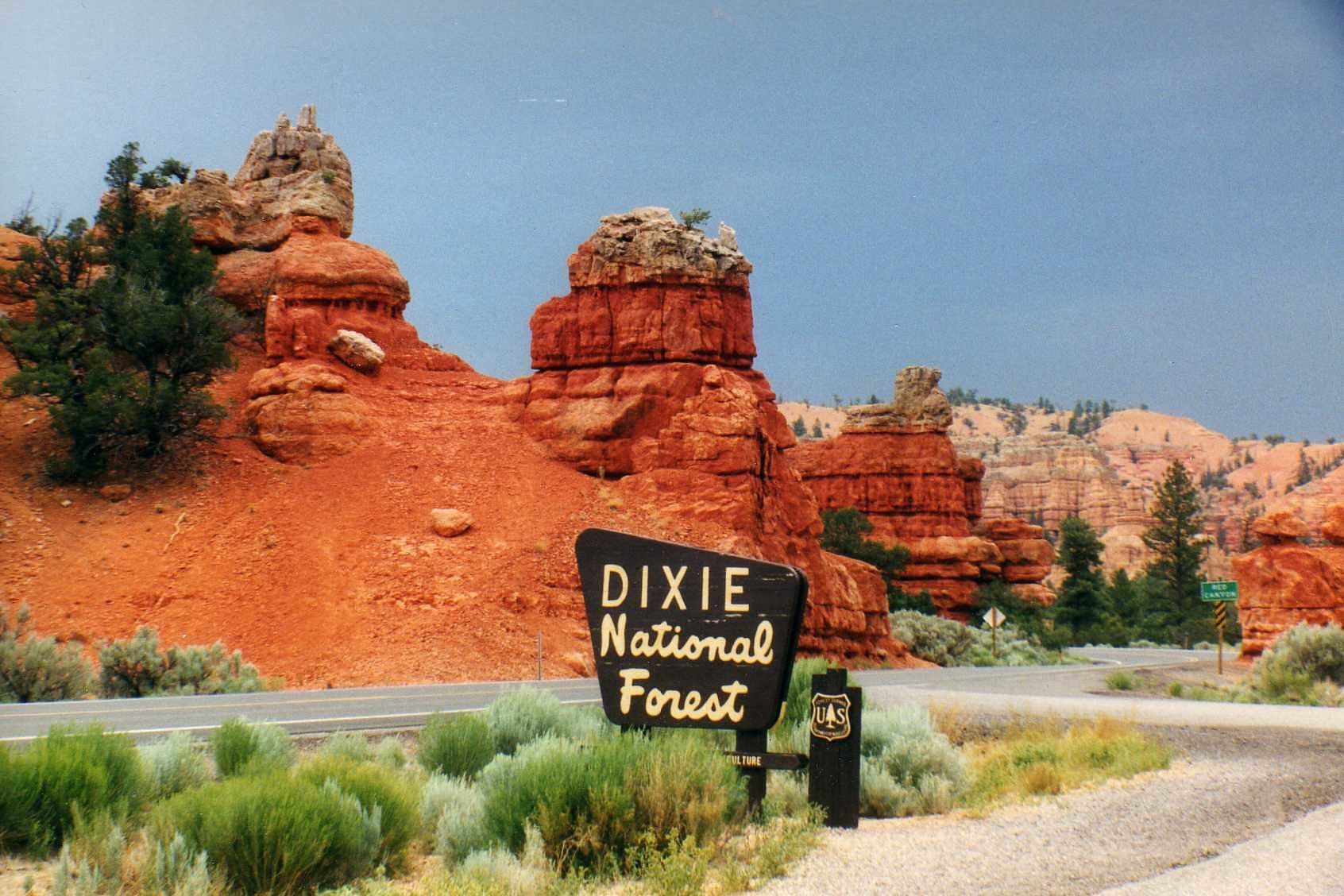 Dixie National Forest, Vereinigte Staaten