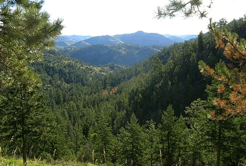 Área salvaje Cache La Poudre, Estados Unidos