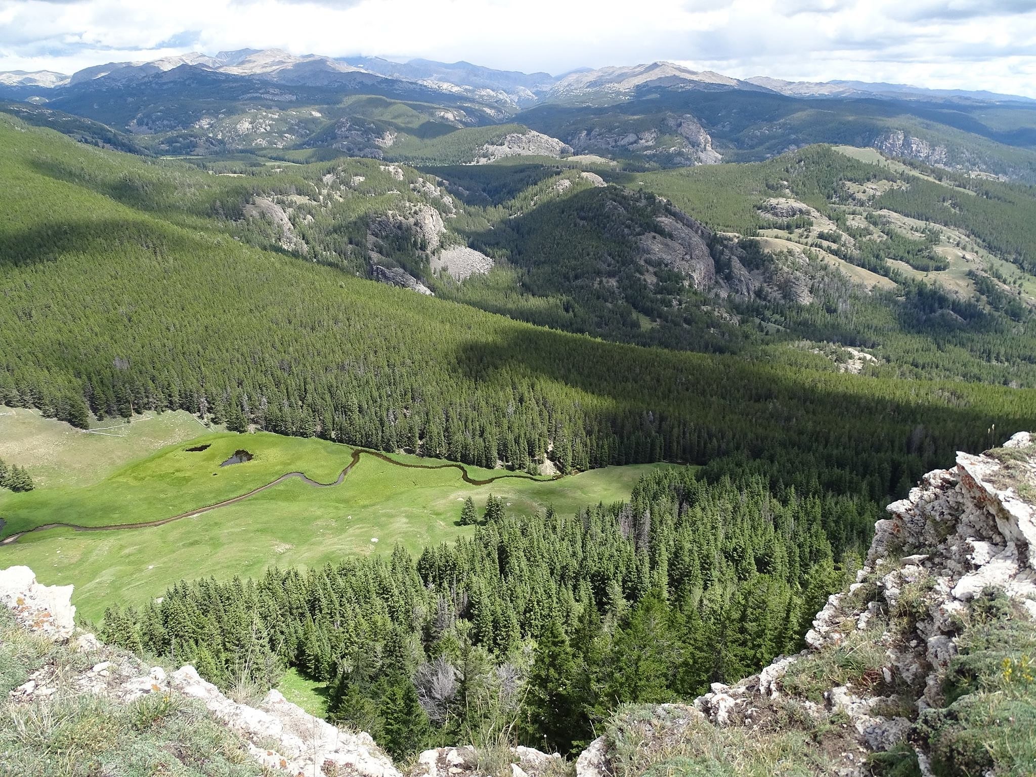 Forêt nationale de Bighorn, États-Unis