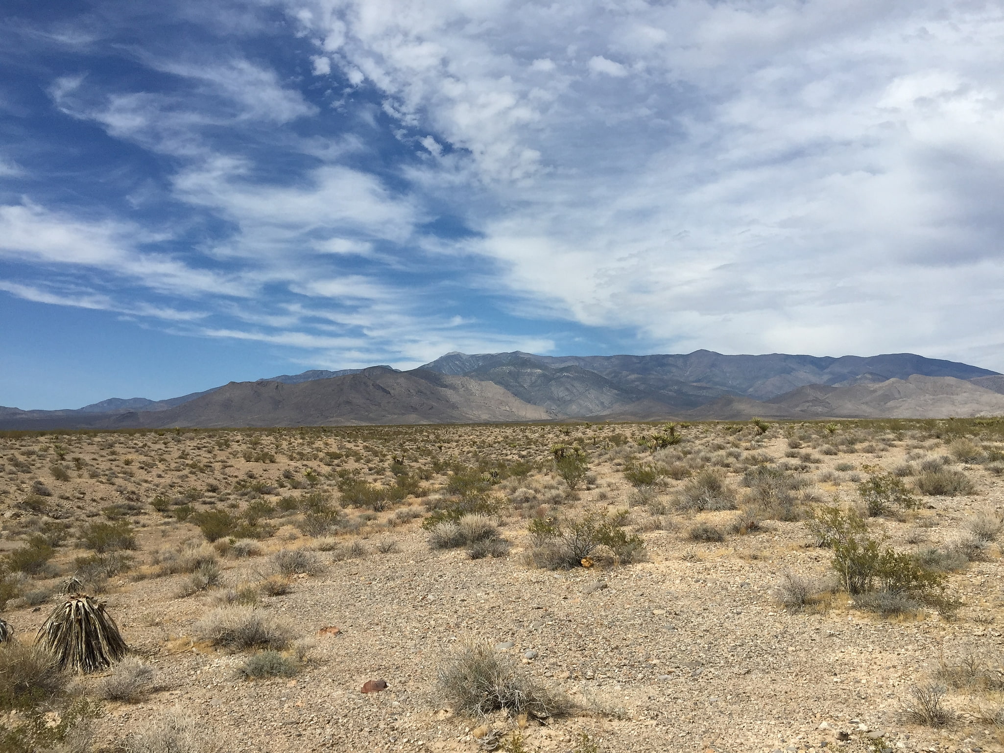 Spring Mountains National Recreation Area, États-Unis