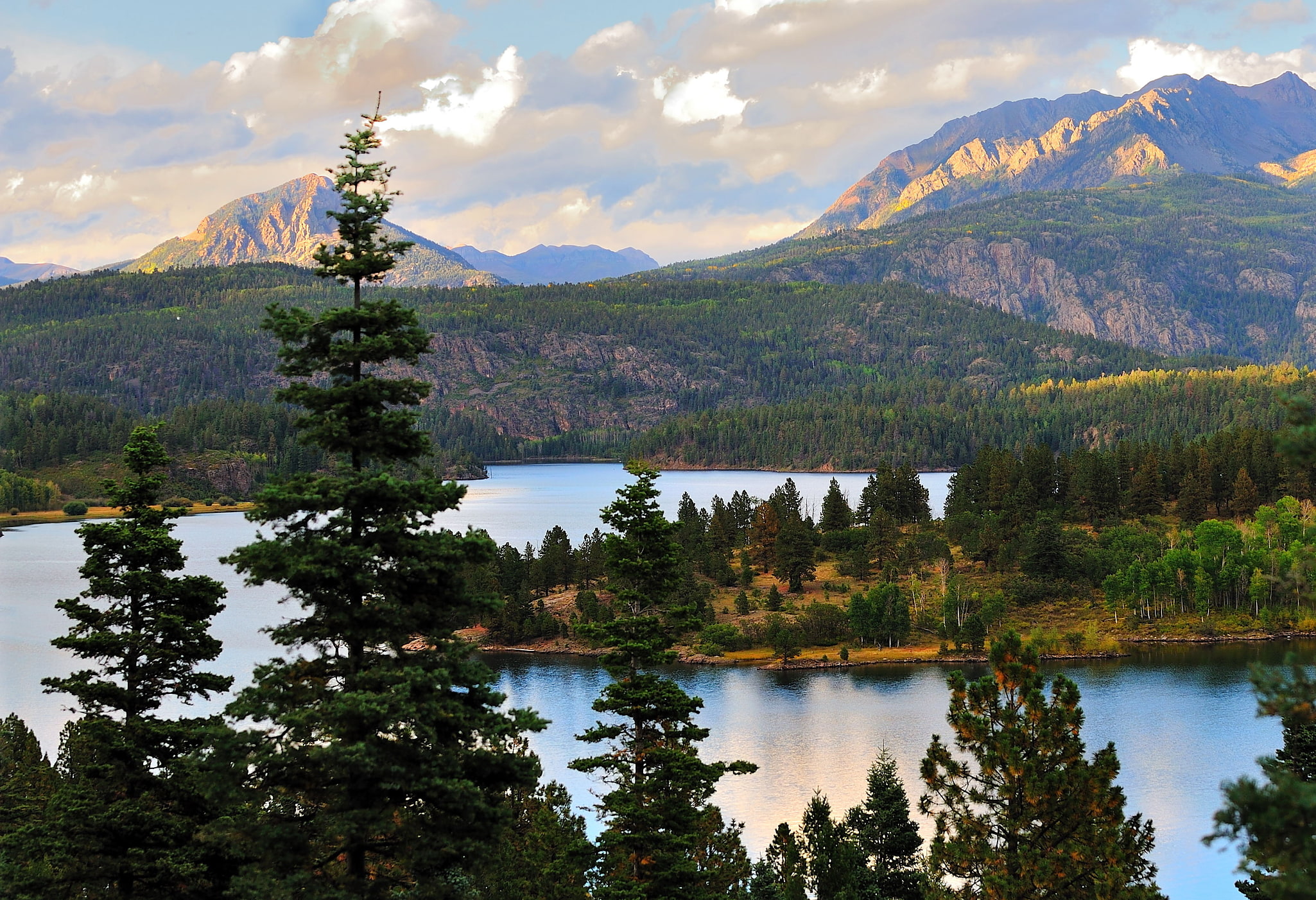 Bosque nacional de San Juan, Estados Unidos