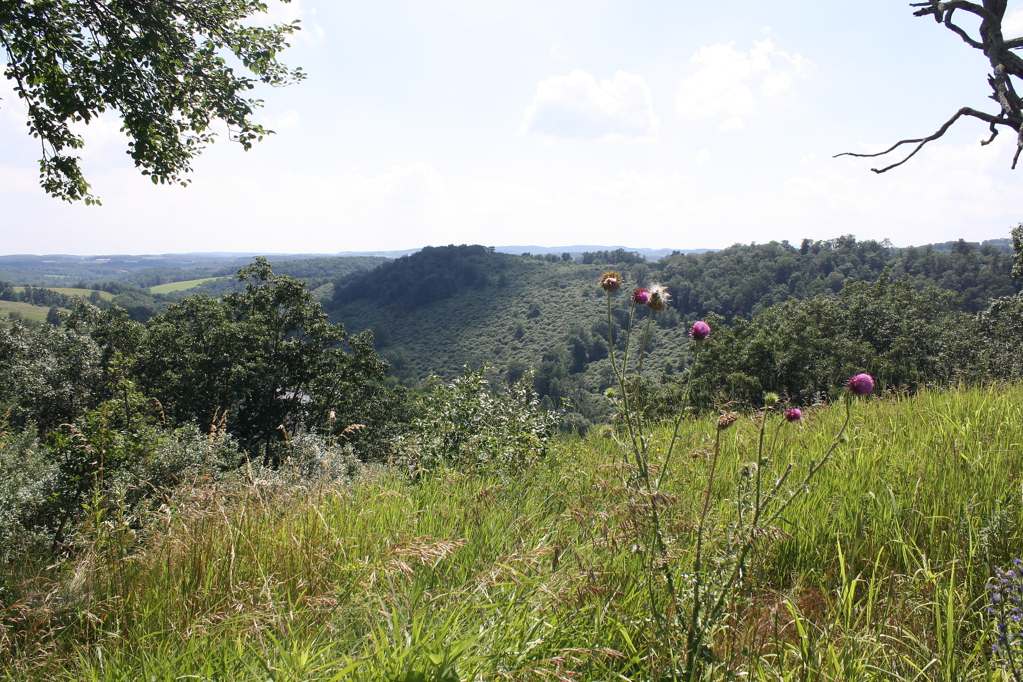 Trexler Nature Preserve, Estados Unidos