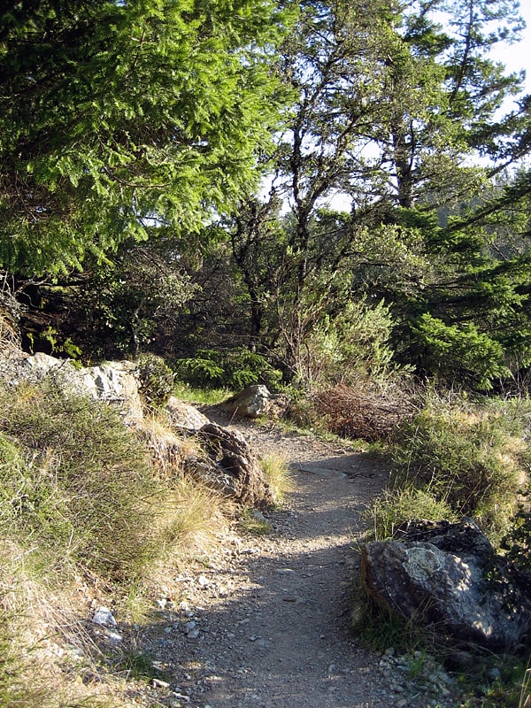 Parc d'État de Mount Tamalpais, États-Unis