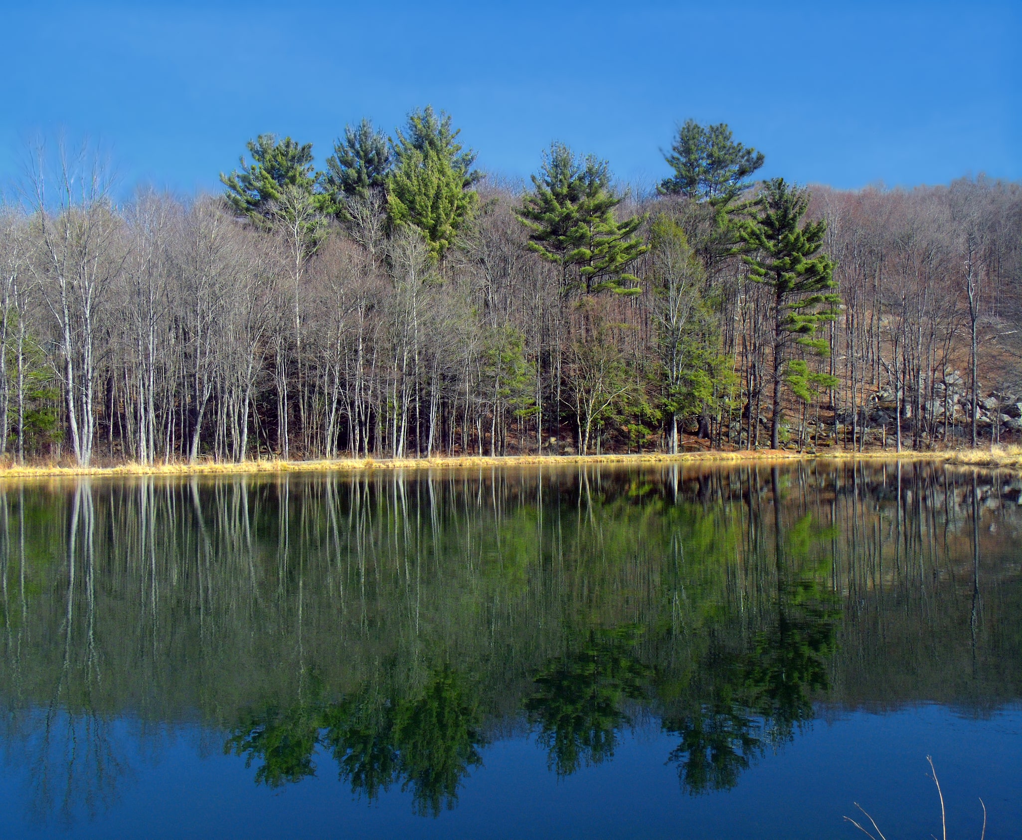 Varden Conservation Area, États-Unis