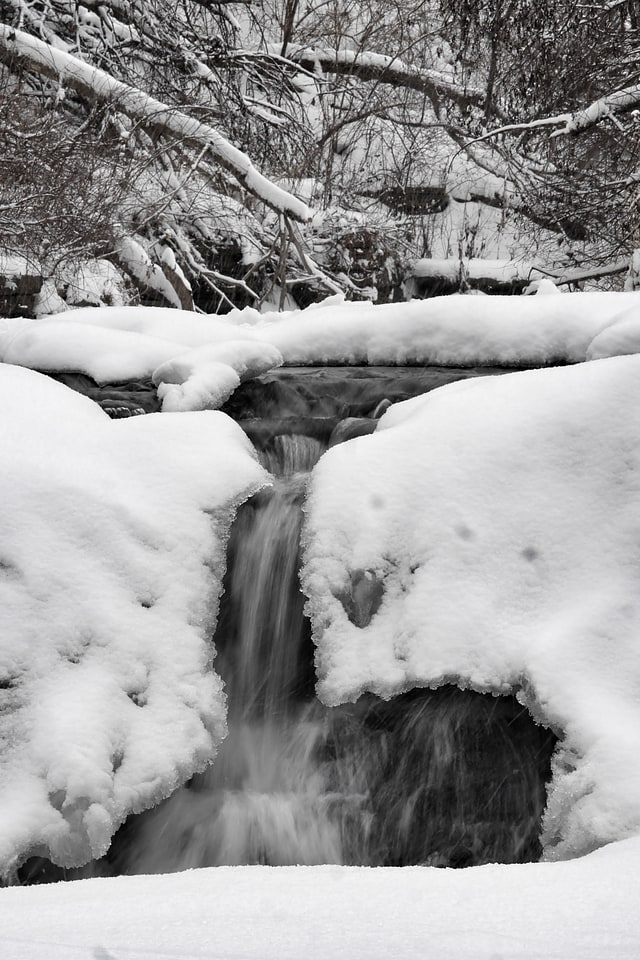 Waterfall Glen Forest Preserve, United States