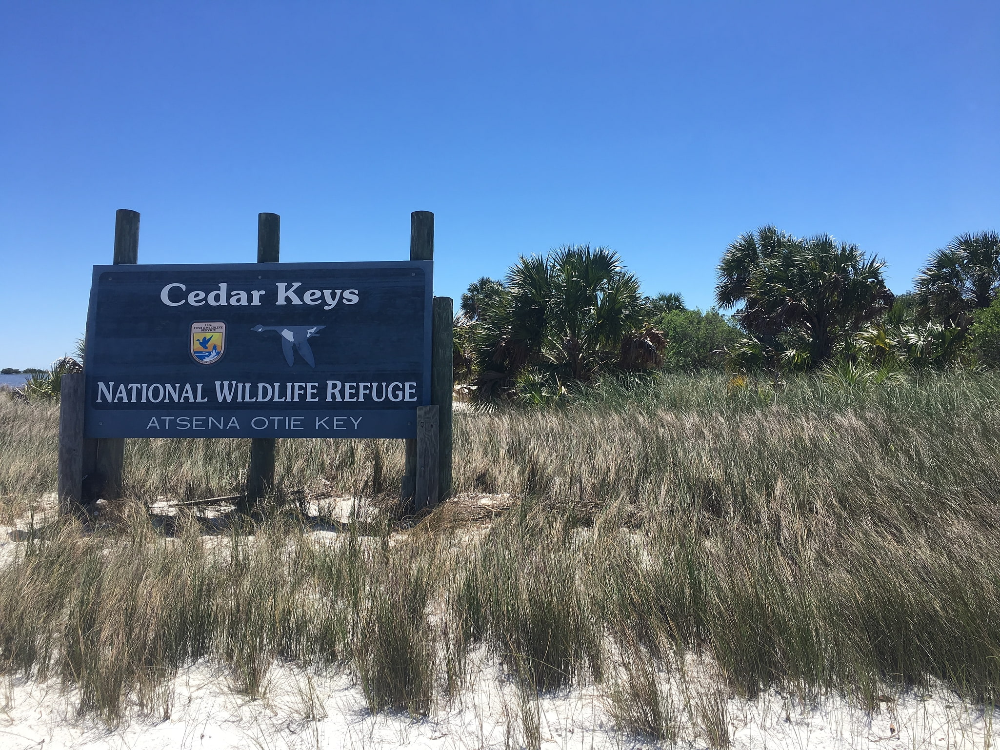 Cedar Keys National Wildlife Refuge, Stany Zjednoczone