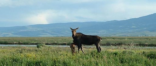 Bear Lake National Wildlife Refuge, Stany Zjednoczone