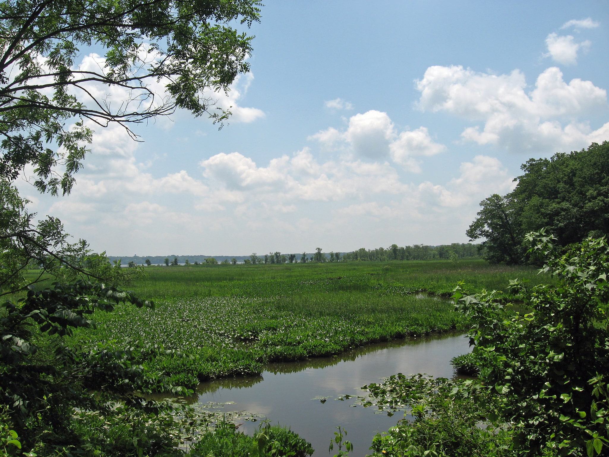 Elizabeth Hartwell Mason Neck National Wildlife Refuge, Stany Zjednoczone