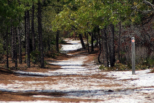 Parc d'État de Carolina Beach, États-Unis